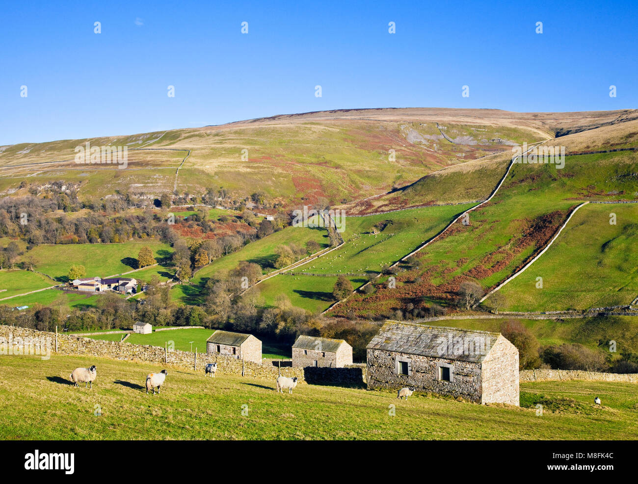 Waldendale Yorkshire Dales North Yorkshire Stock Photo