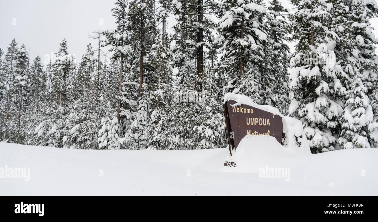 Fresh snow covering the bondary marker sign entering Umpqua National Forest Oregon Stock Photo