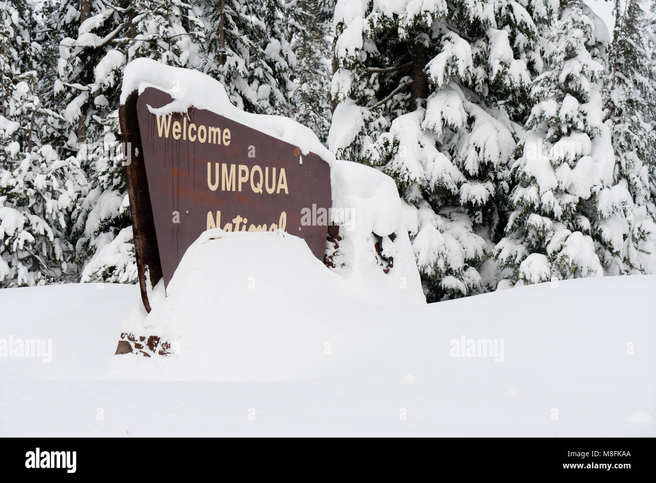 Fresh snow covering the boundary marker sign entering Umpqua National Forest Oregon Stock Photo