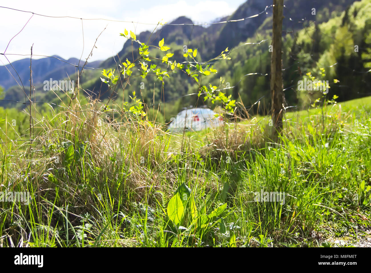 Travelling with Car Stock Photo Alamy