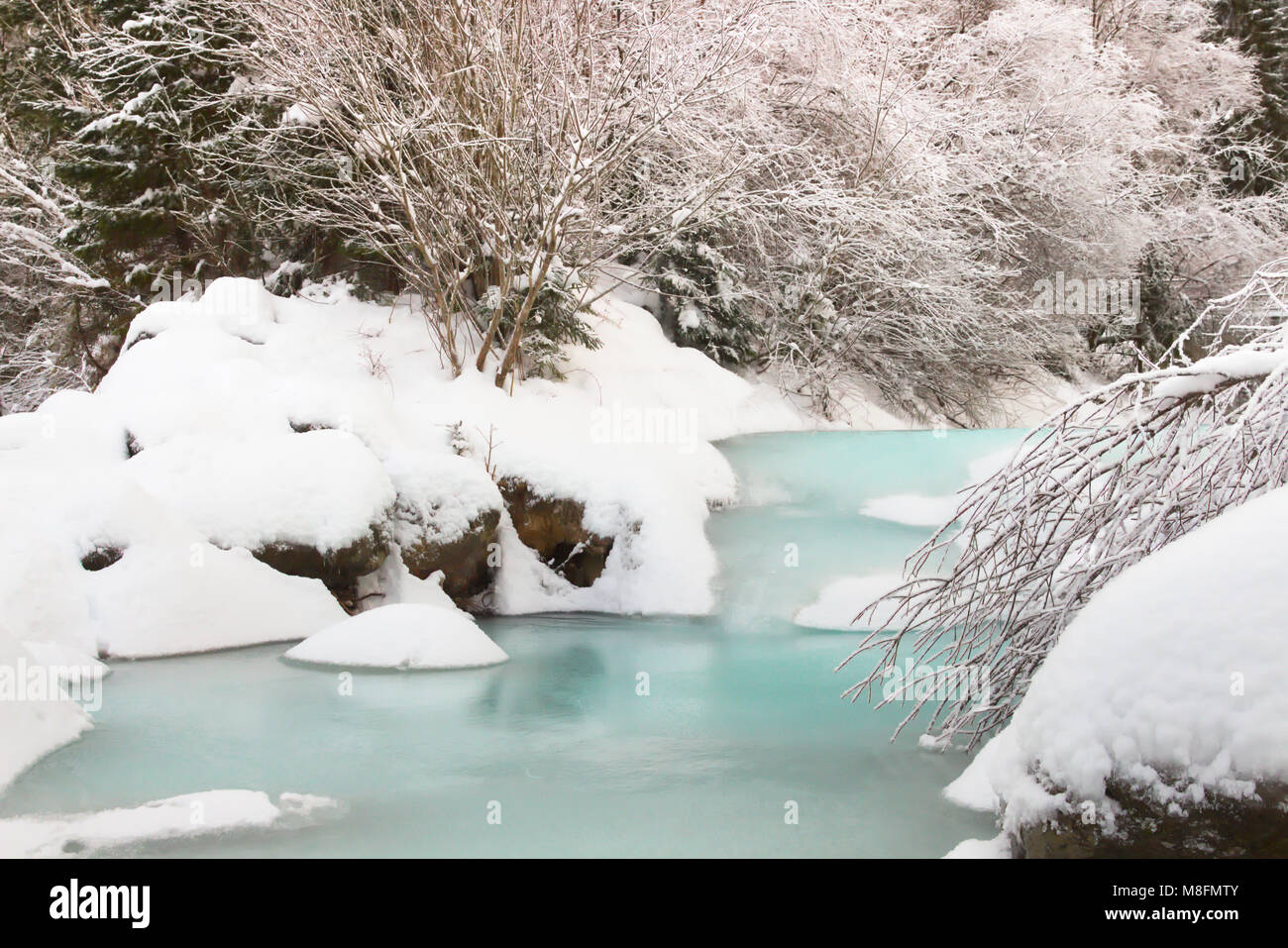 Beautiful frozen hi-res stock photography and images - Alamy