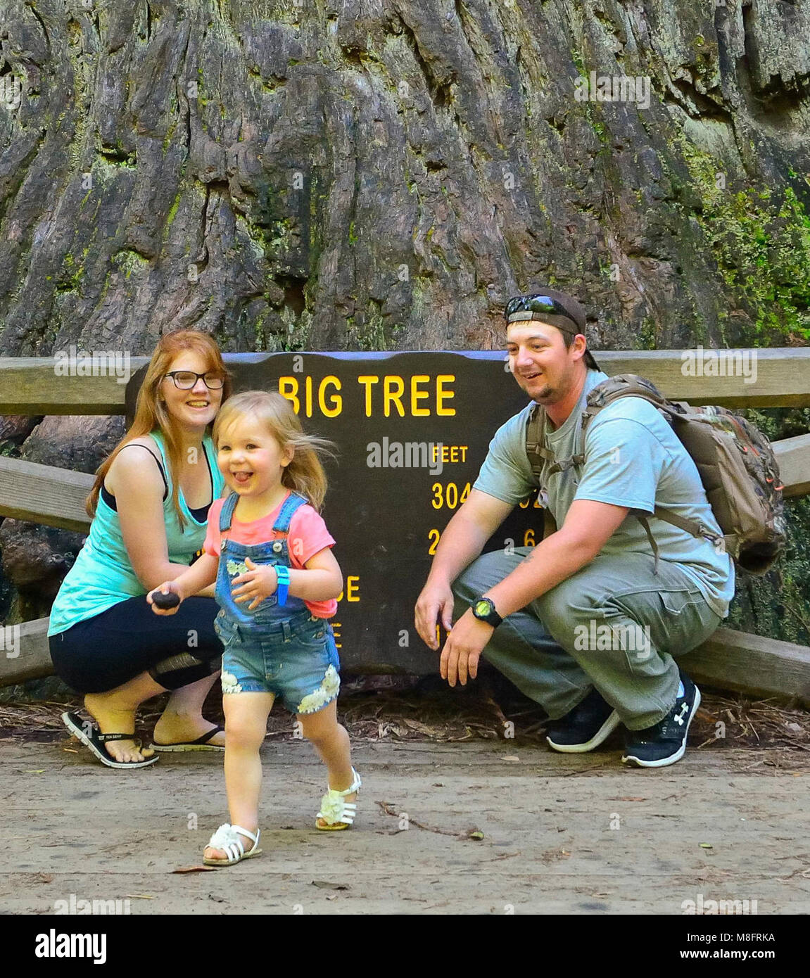 A young family   .Visitors at Big Tree, Prairie Creek Redwoods State Park, CA, Stock Photo