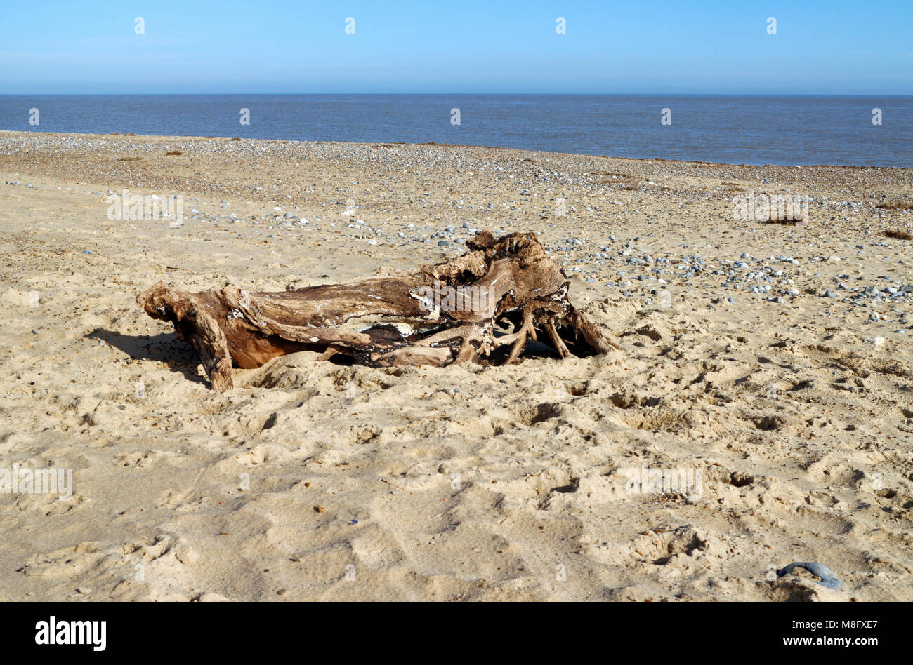 An old weathered and sea worn log on the beach in East Norfolk at Winterton-on-Sea, Norfolk, England, United Kingdom, Europe. Stock Photo