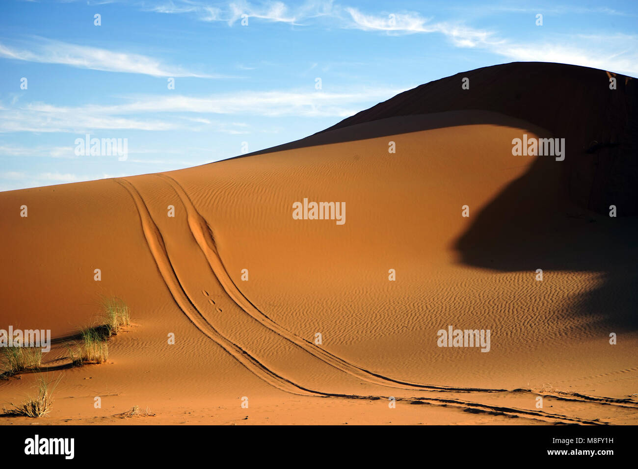 Track on the dune in Sahara desert Stock Photo - Alamy