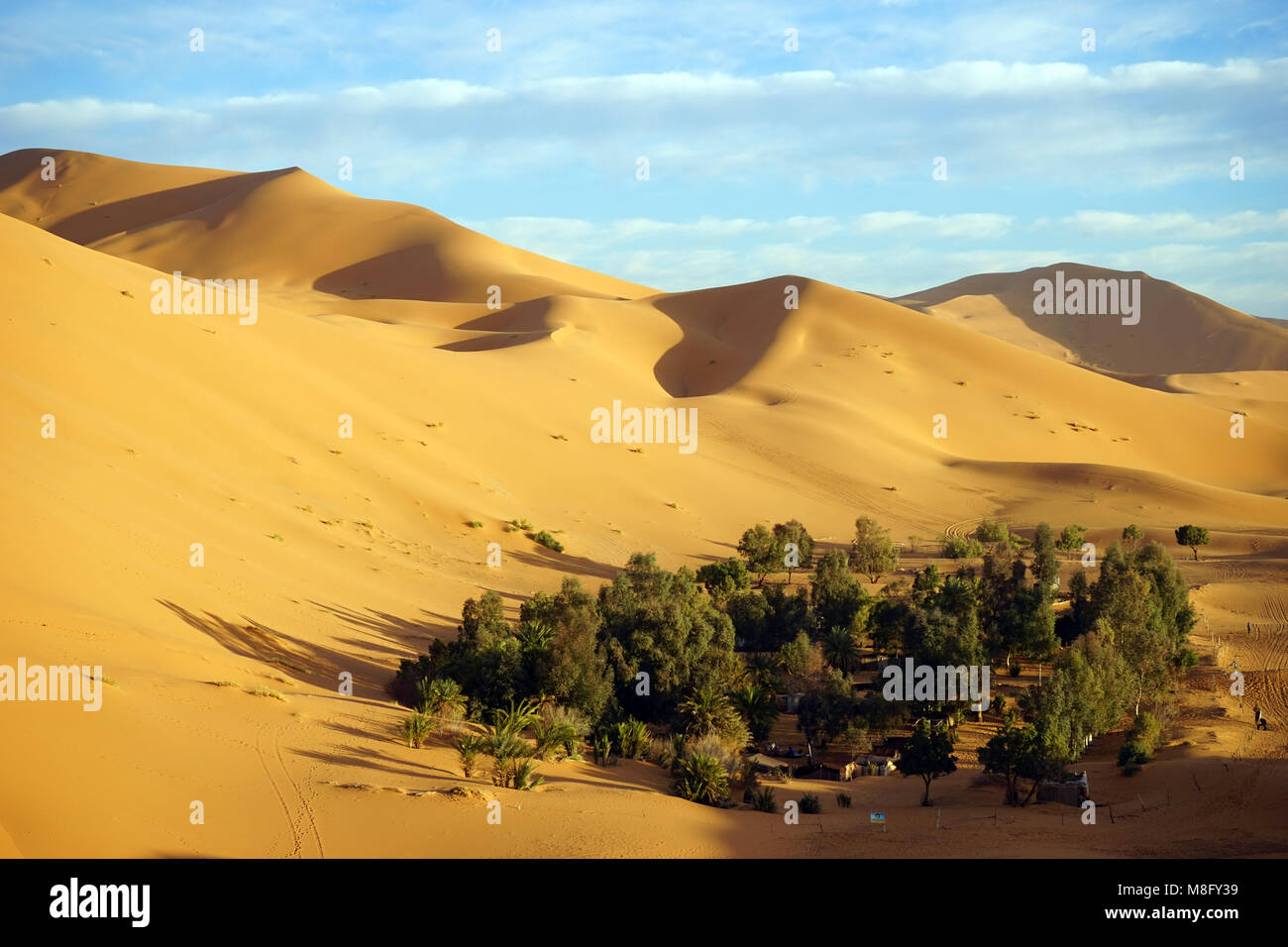 Oasis near big dune in Sahara desert near Merzuga village in Morocco Stock  Photo - Alamy, image size:1300x956