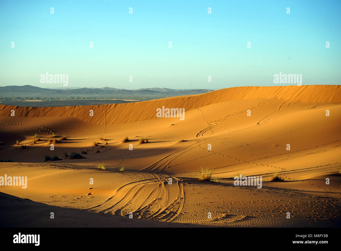 Track on the dune in Sahara Stock Photo - Alamy
