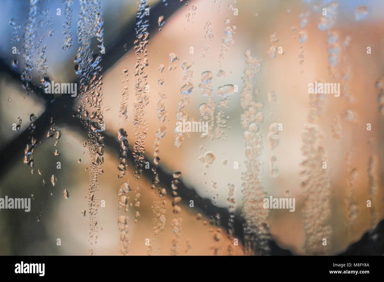 Misted glass, pink purple and golden sparkling champagne rain drops dew drops bubbles on tinted glass window on a rainy day champagne colored sparklin Stock Photo