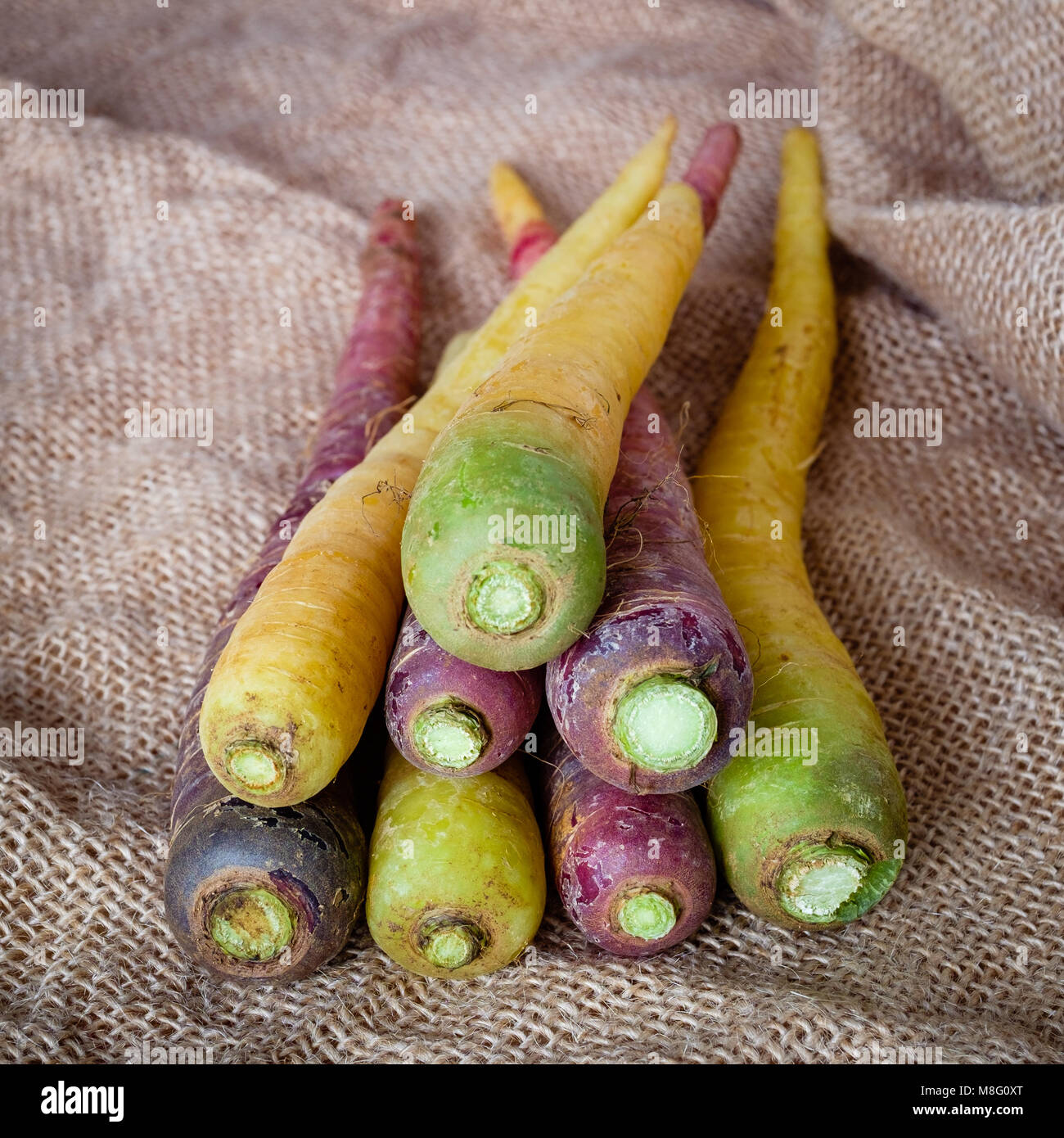 Yellow and purple carrots of Polignano. Apulian food. Italy. Stock Photo