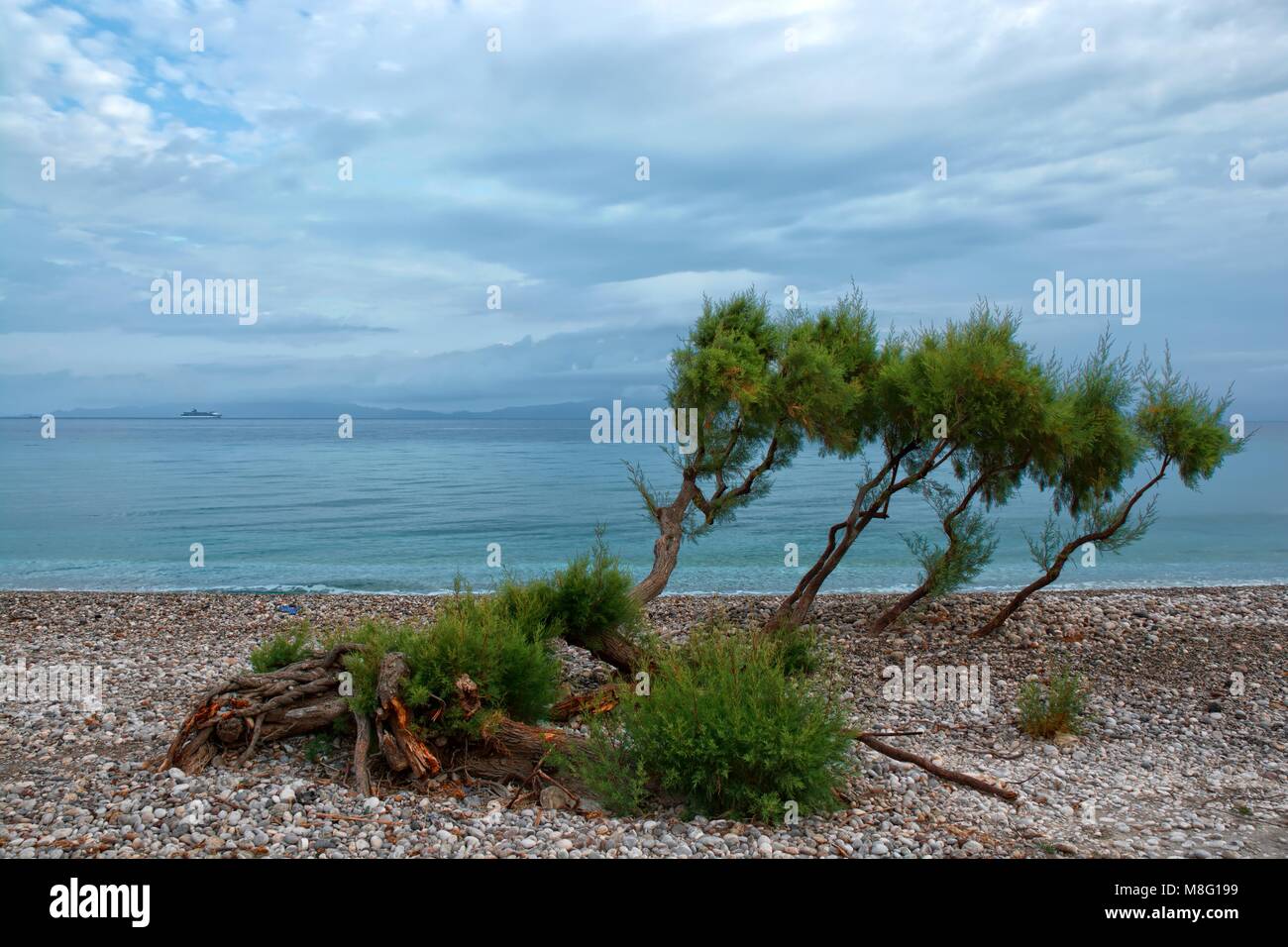 View of pebbly beach on cloudy day on western coast of Rhodes Island, Aegean Sea and Turkey coast in the background, Ialyssos, Greece Stock Photo