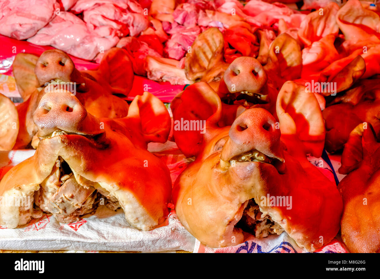 Pic's heads and fresh pork meat are for sale at Nonthaburi Market Stock