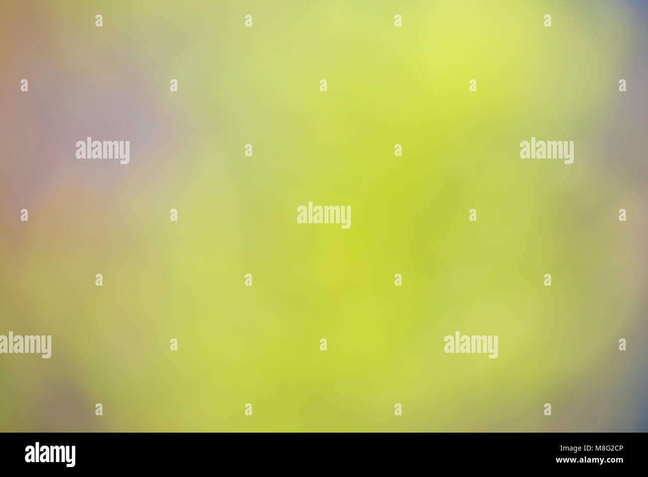 Nature gradient backdrop with bright sunlight. Abstract green blurred ...