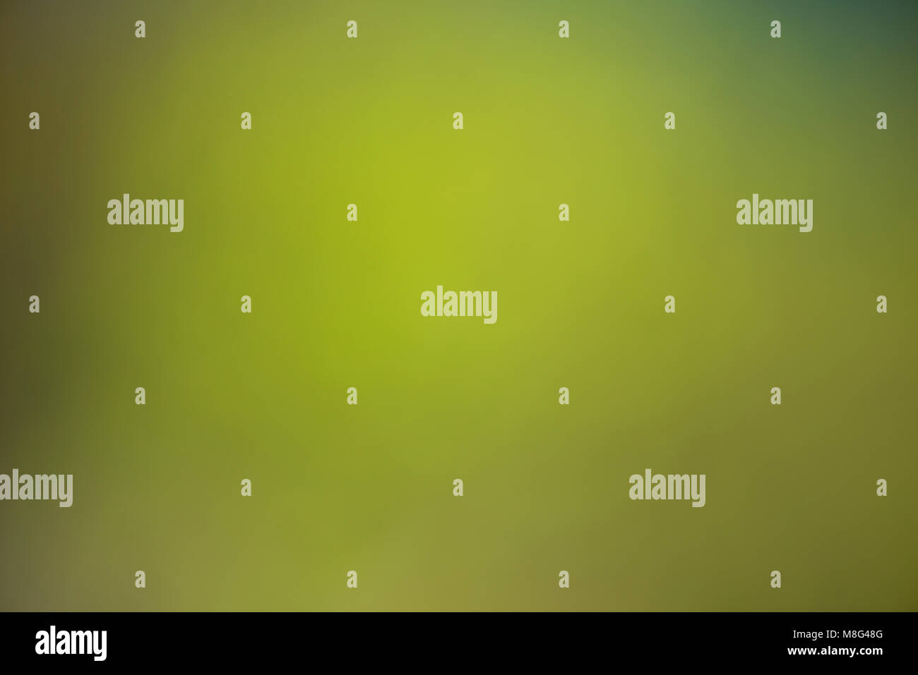 Nature gradient backdrop with bright sunlight. Abstract green blurred ...