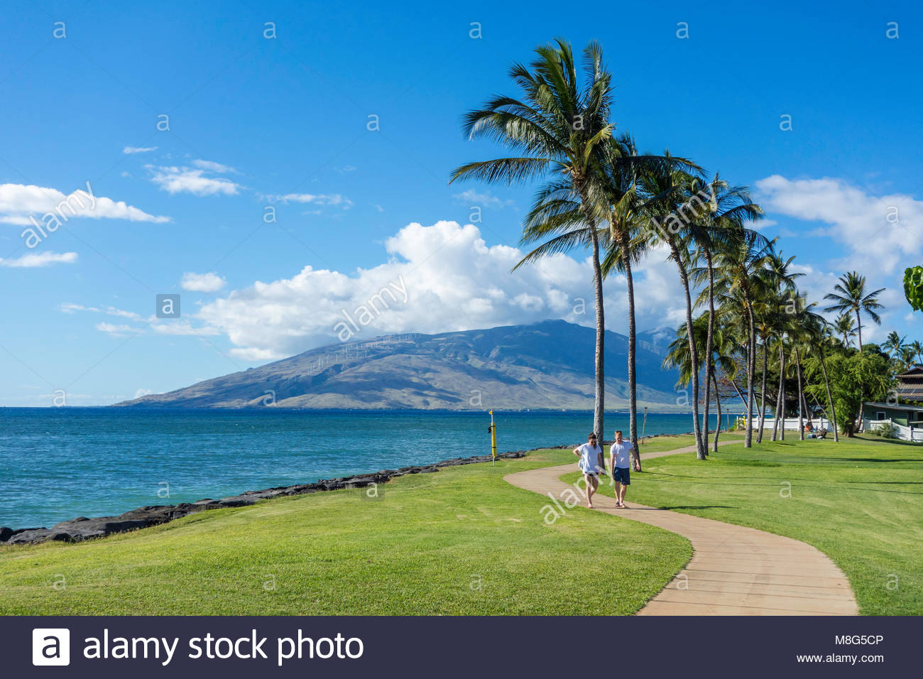 Palm trees line the seafront promenade in Kalama Park in Kihei island of Maui in the state of Hawaii USA Stock Photo