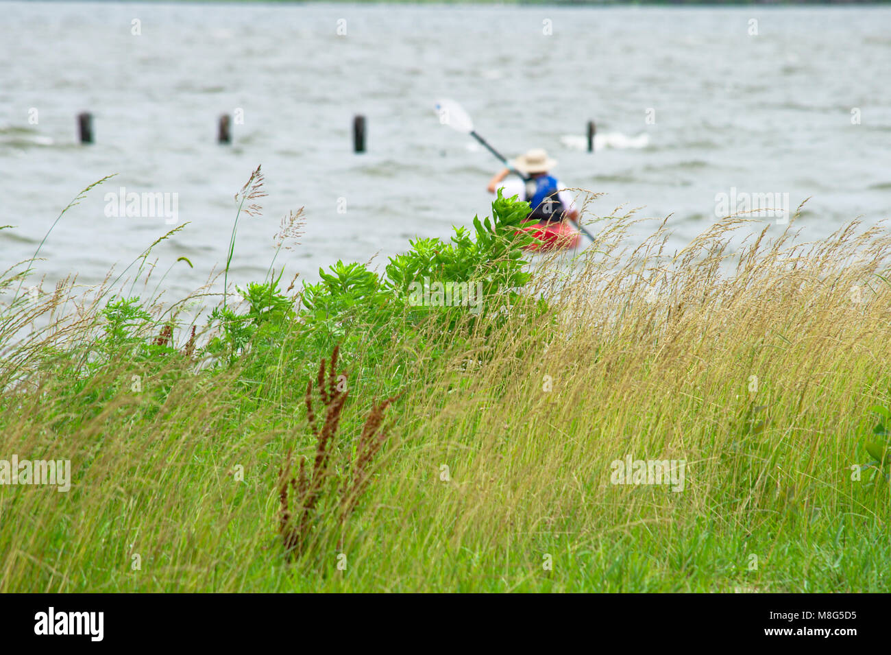 Man kayaking during choppy waters in the Potomac River Stock Photo Alamy