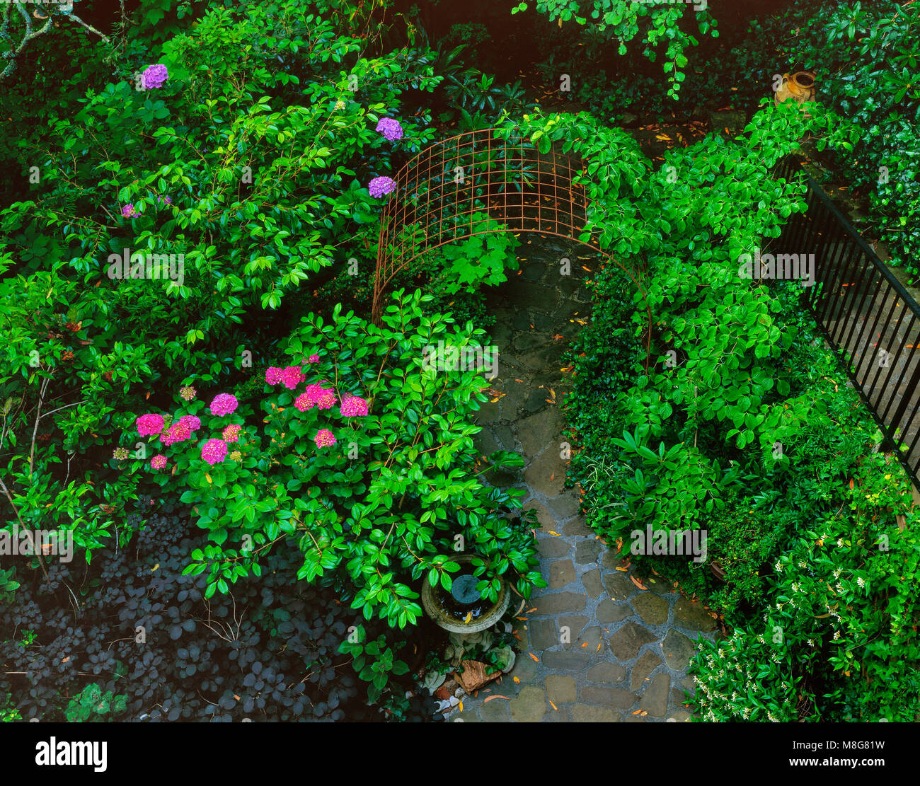 Garden Path, Cypress Avenue Garden, Mill Valley, California Stock Photo