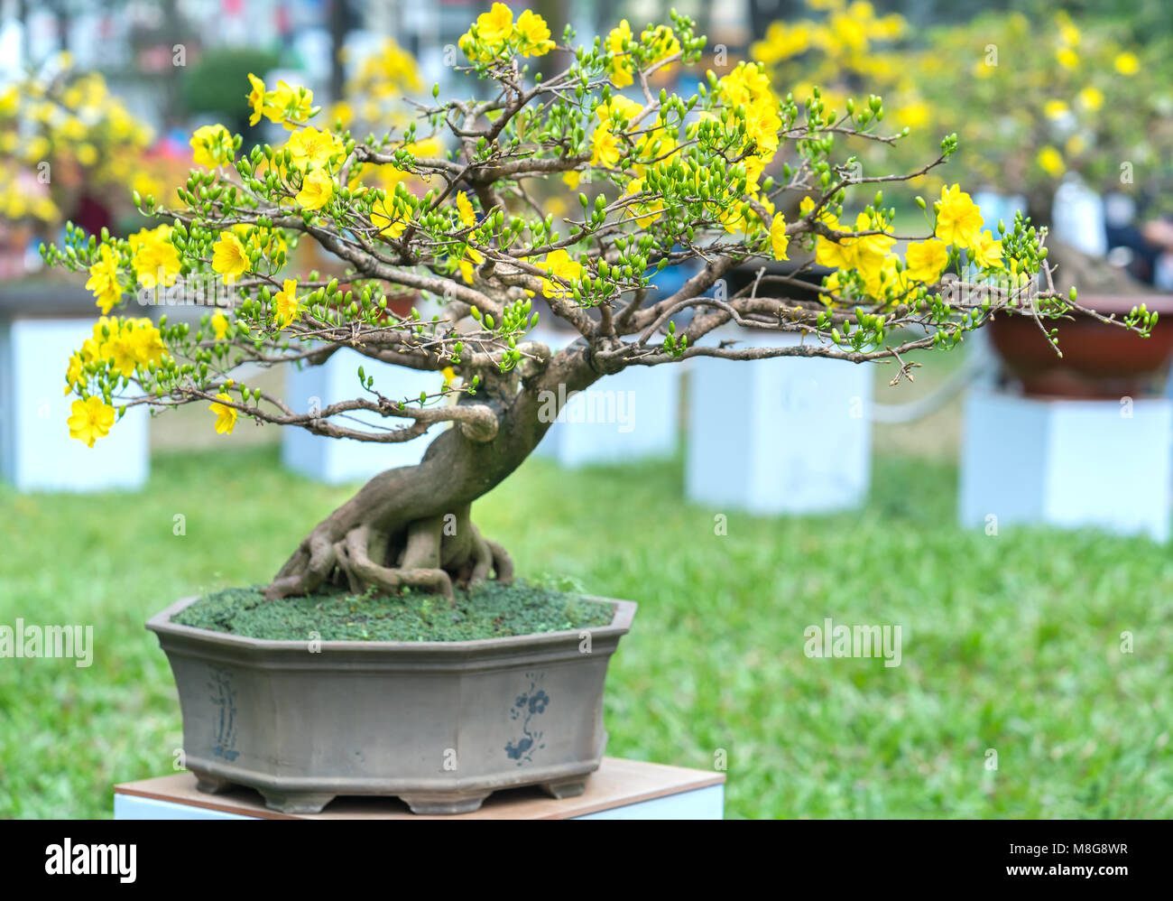 lego bonsai tree mixed Light Kit for LEGO Bonsai Tree #10281 main image 0