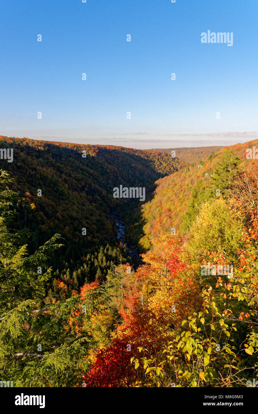 Vista of Lindy Point in Blackwater Falls State Park in the fall Stock Photo