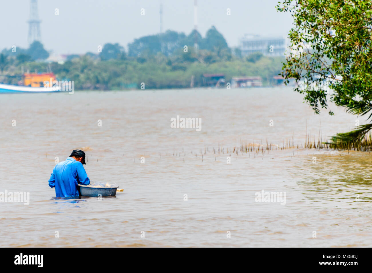 A fisherman stands in shallow water to gather clams at the Meekong Delta, Vietnam Stock Photo