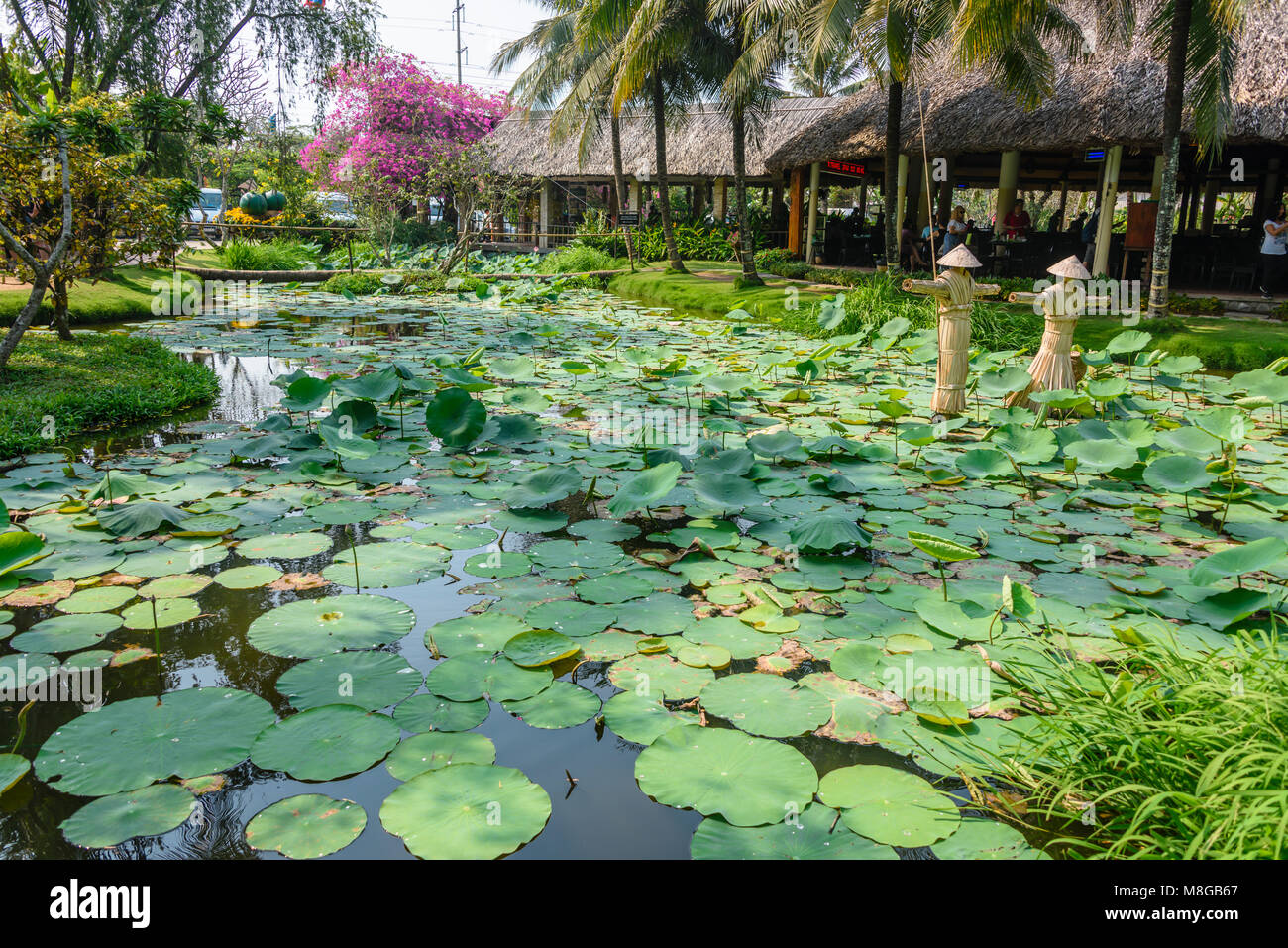 Egyptian bean lily hi-res stock photography and images - Alamy