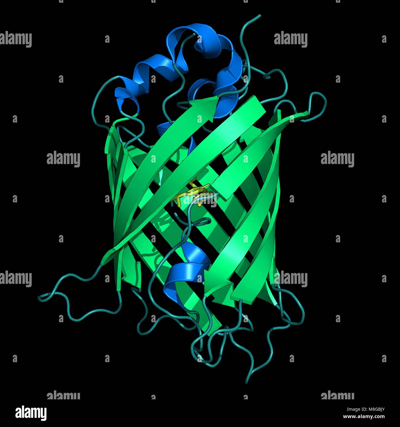 Representation of the green fluorescent protein from Aequorea victoria Stock Photo