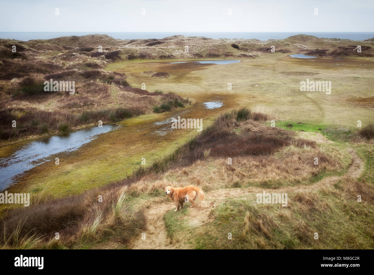 Kenfig dunes nature reserve hi-res stock photography and images - Alamy