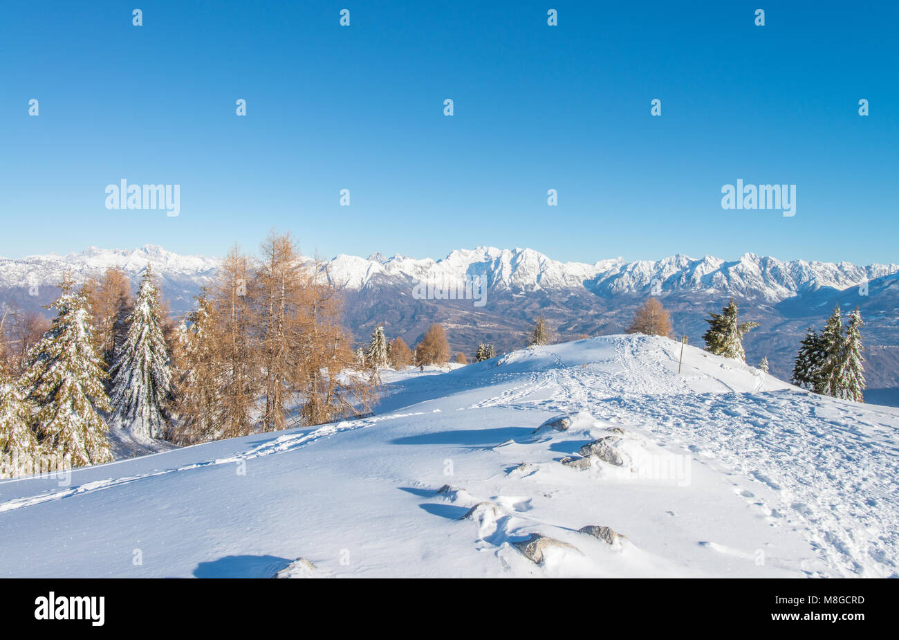 Amazing view of the snowcapped Dolomites from a little snowy mound. Trees, forest in the foreground, the valley and city at the bottom. Stock Photo