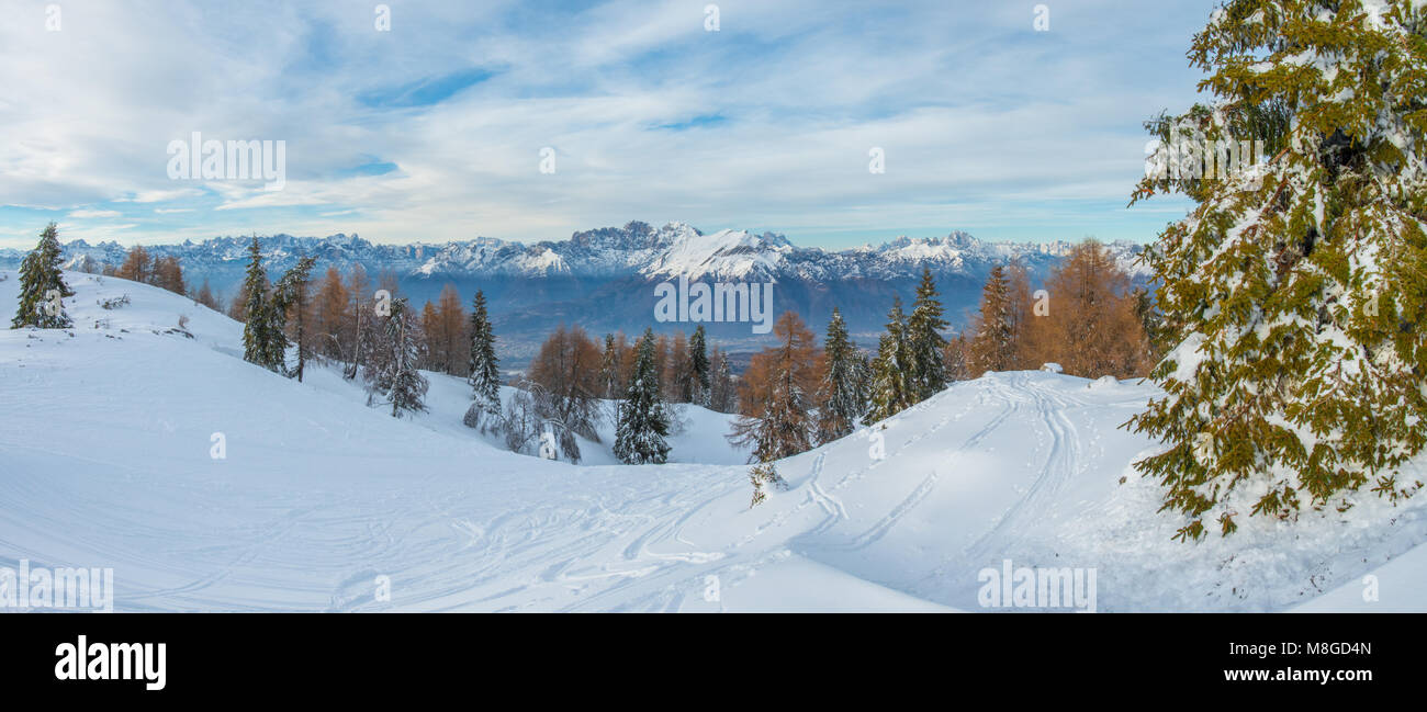 Fantastic panoramic view of the Dolomites from a snowshoeing trail. Fresh snow, powder covering the ground, snowy trees in the forest, blue sky. Stock Photo