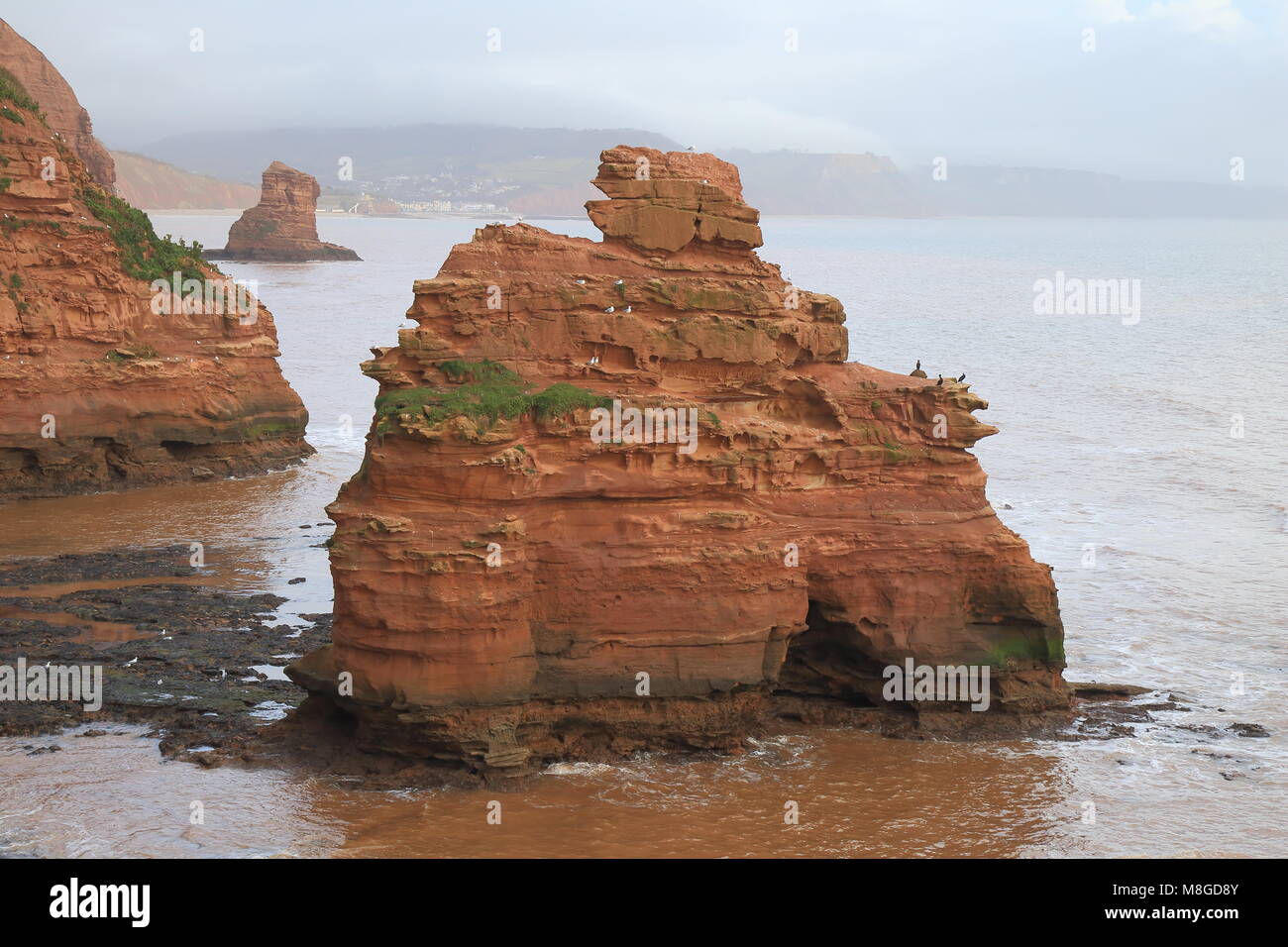 Sea stack in Ladram Bay near town of Sidmouth in Devon Stock Photo