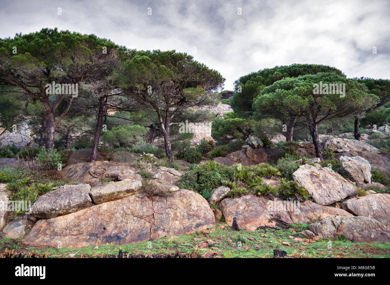 El Estrecho Natural Park in Cadiz (Spain) is located on the northern side of the Strait of Gibraltar. It protects a range of ecosystems and species. Stock Photo