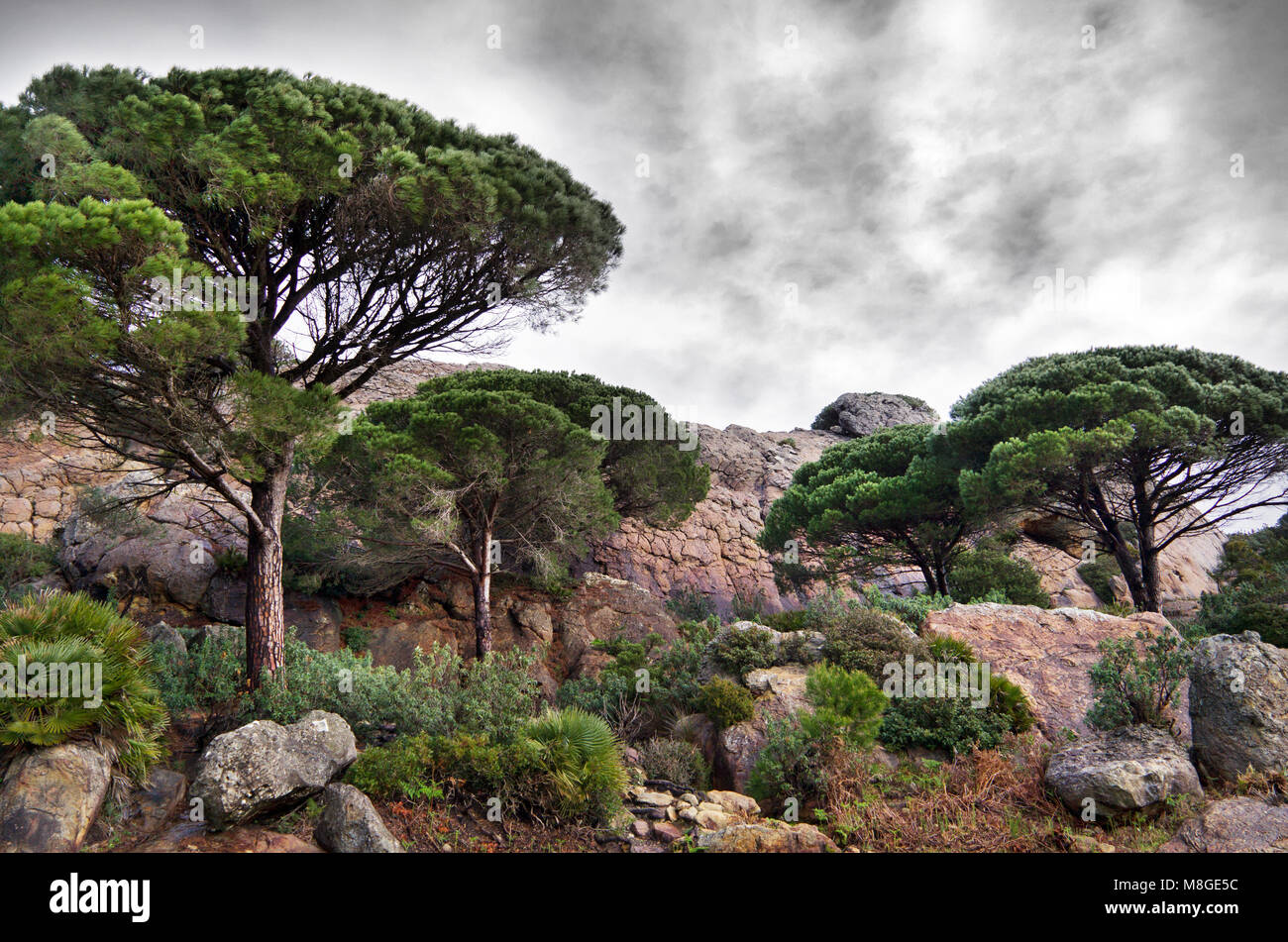 El Estrecho Natural Park in Cadiz (Spain) is located on the northern side of the Strait of Gibraltar. It protects a range of ecosystems and species. Stock Photo