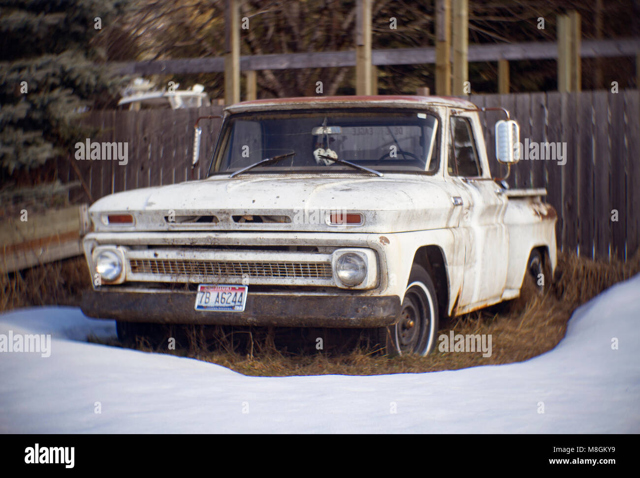 A white 1965 C10 Chevrolet pickup truck in the snow, in the town of Clark Fork, Bonner County, Idaho. Stock Photo