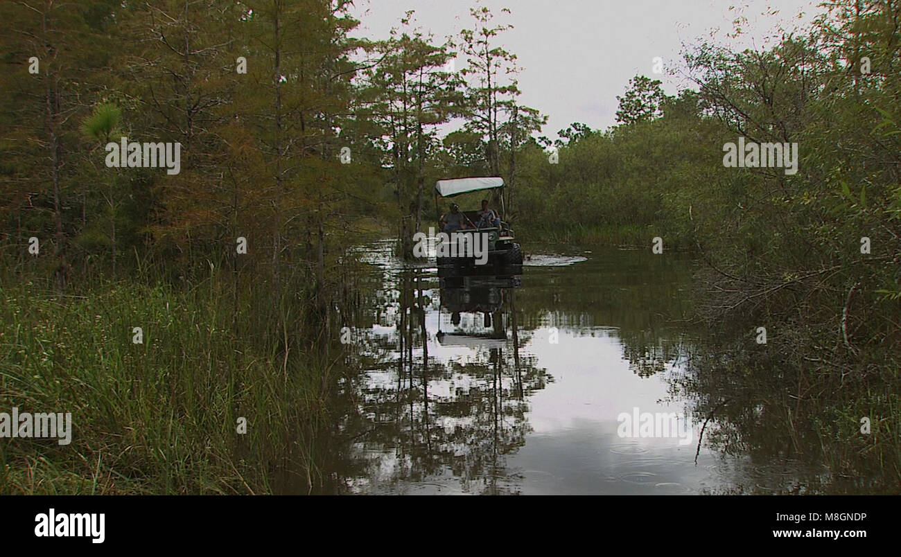 BICY pr image e cr Elam Stoltzfus   .ORV use is allowed for along managed trails within Big Cypress National Preserve. Stock Photo