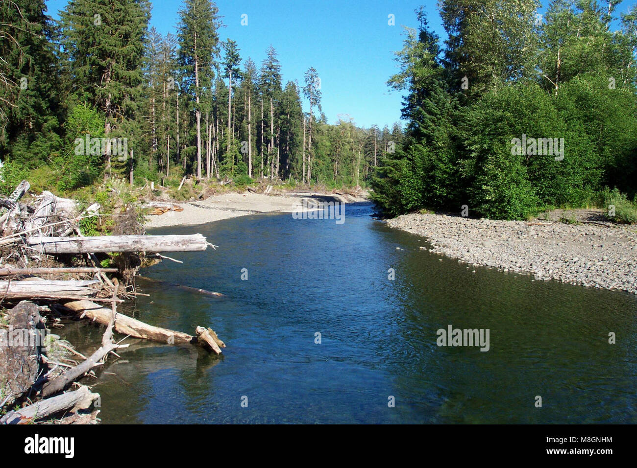 Bogachiel river Stock Photo Alamy
