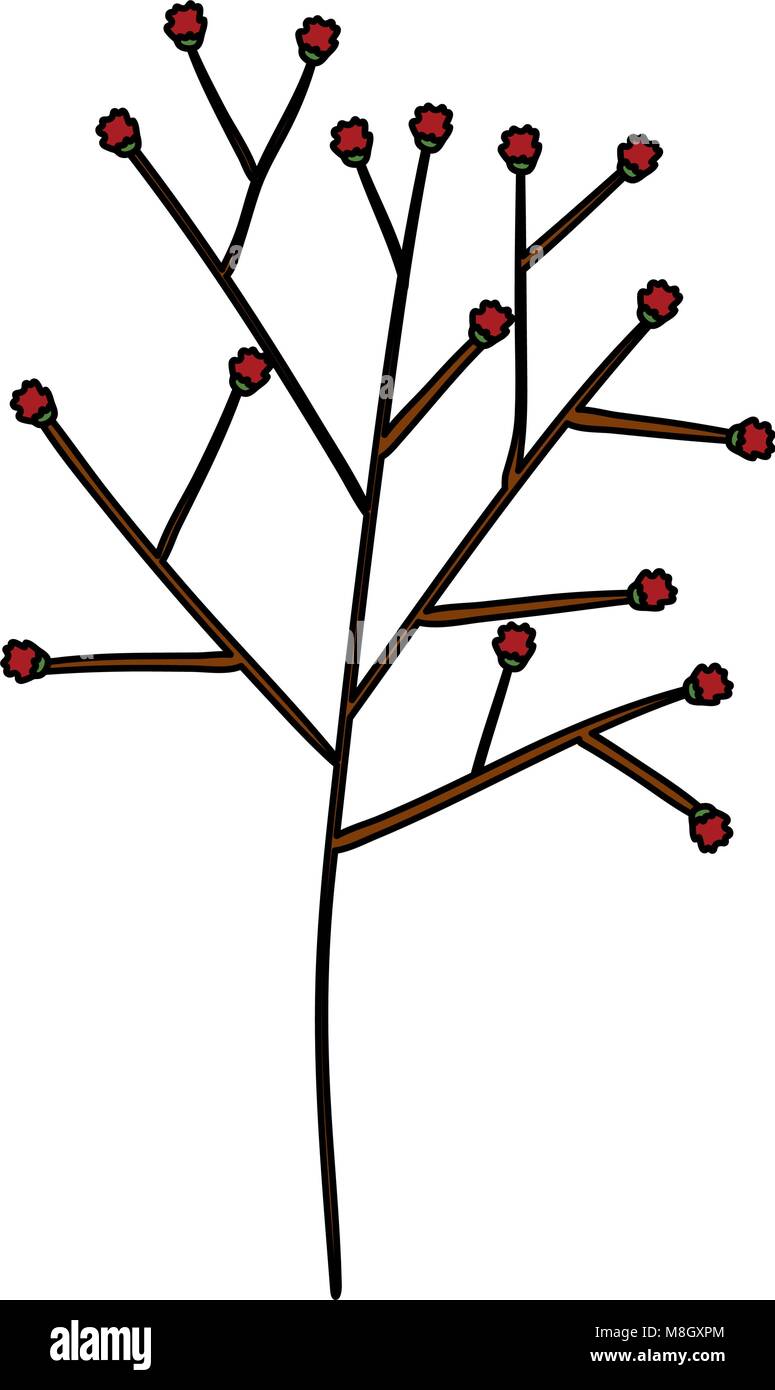 tree branch with seeds vector illustration design Stock Vector Image ...