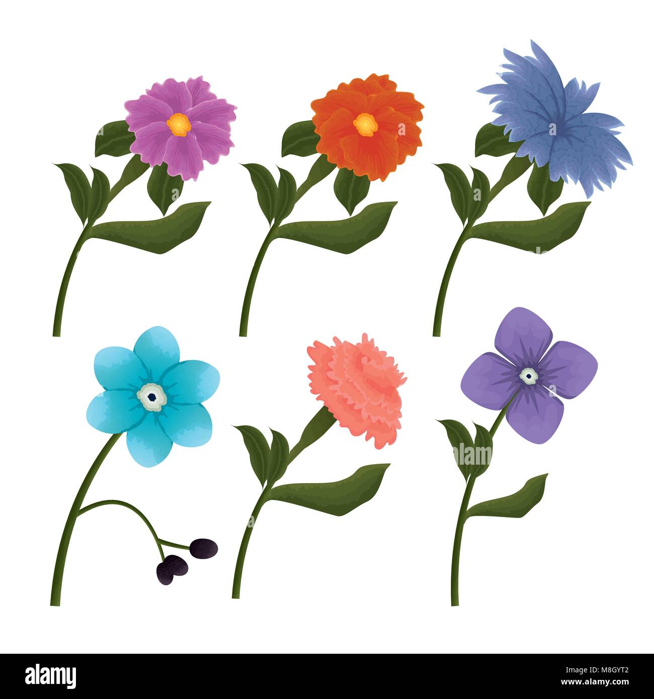 set flowers beautiful icons vector illustration design Stock Vector ...
