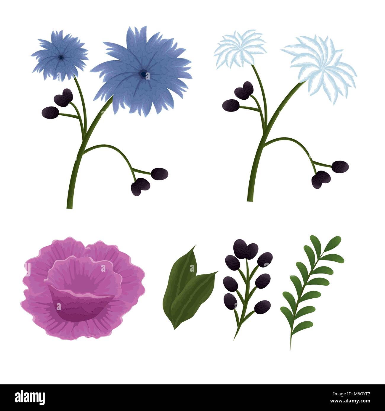 set flowers beautiful icons vector illustration design Stock Vector ...