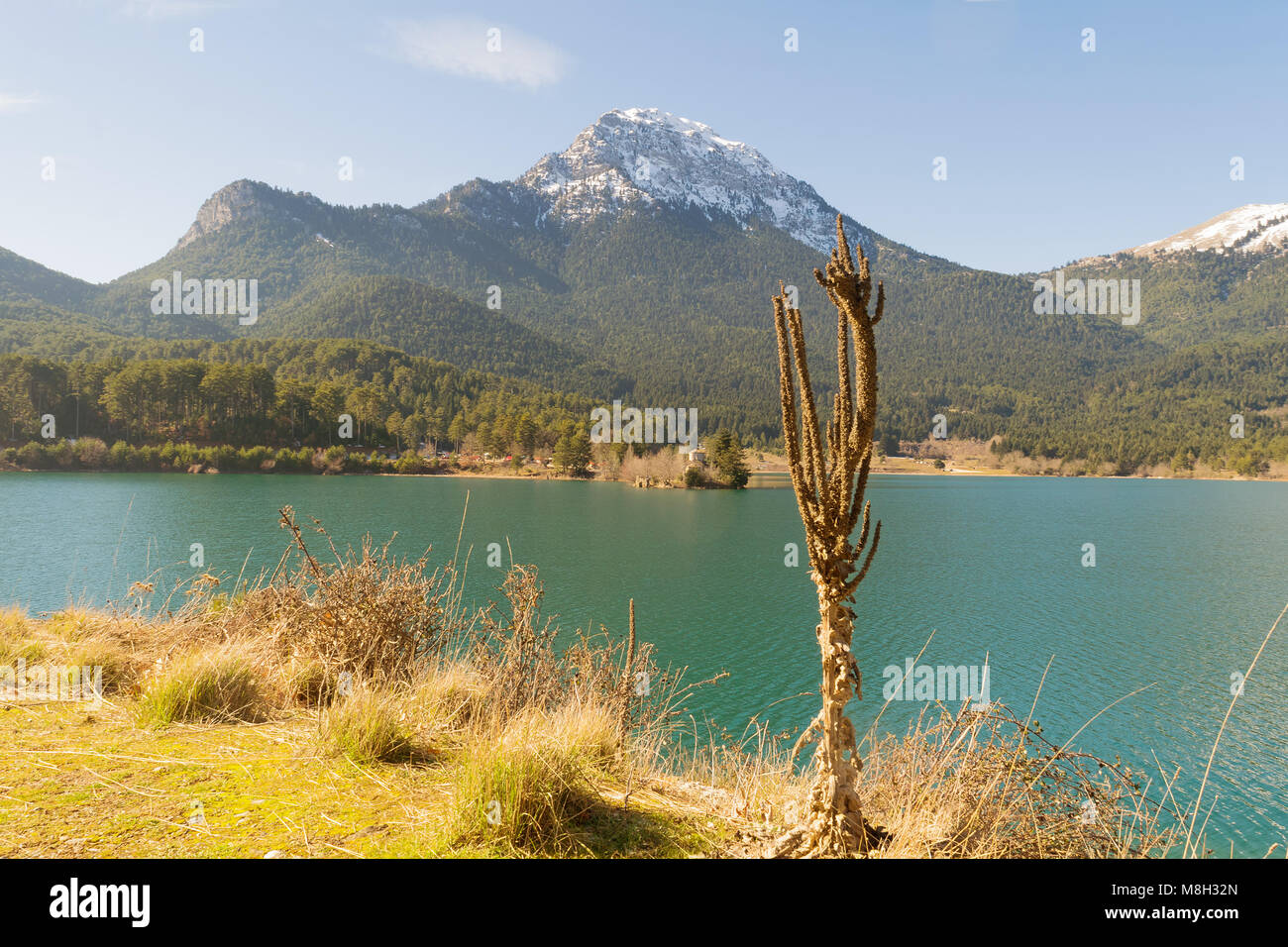 Geografi Grund brugt Greek lake Doxa in Peloponnese. Beauty of nature Stock Photo - Alamy