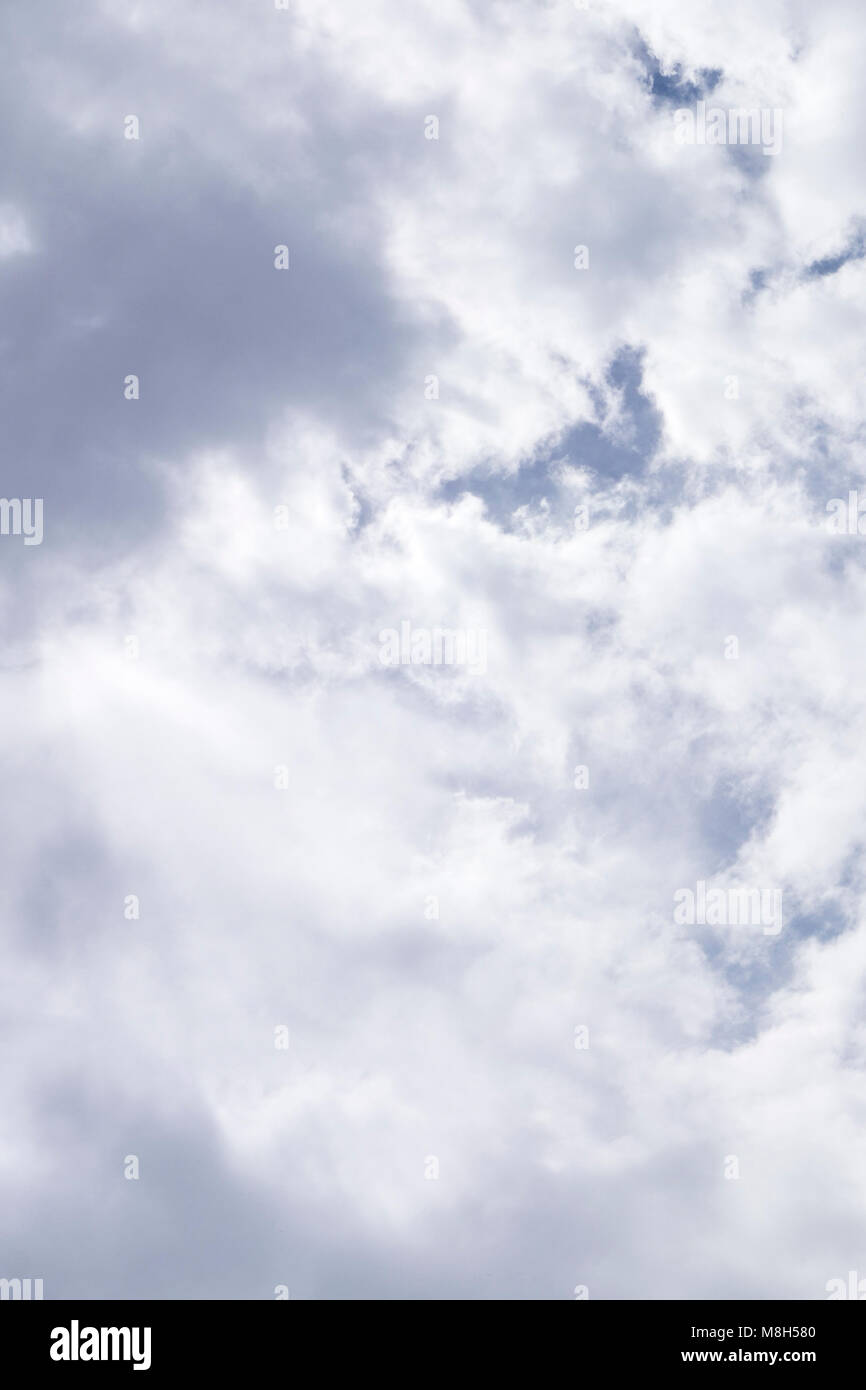 Cirrus clouds over the forest at sunset Stock Photo - Alamy