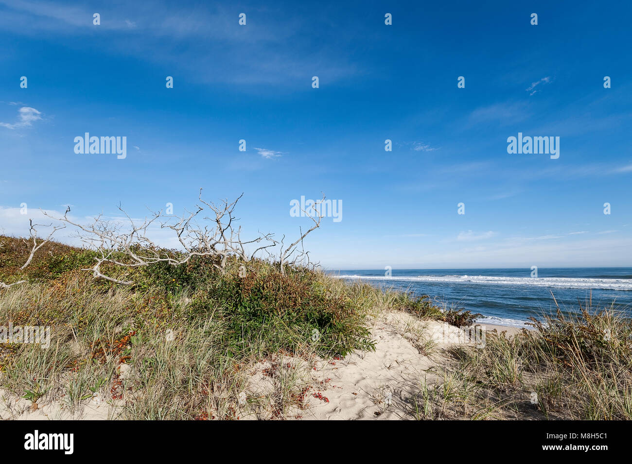 Head of Meadow Beach, Truro, Cape Cod, Massachusetts, USA. Stock Photo