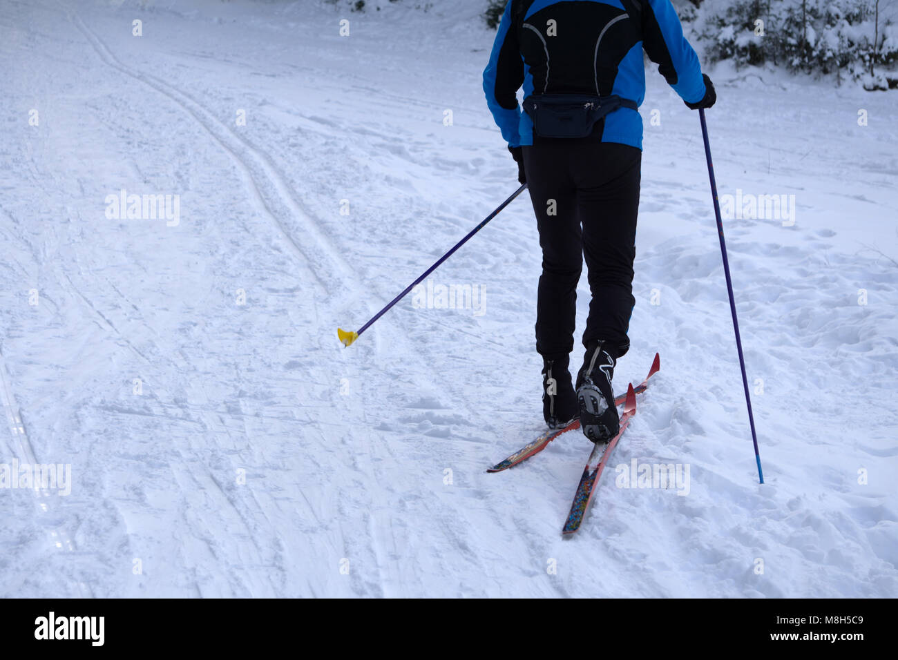 Crosscountry skiing skating technique practiced by man Stock Photo Alamy