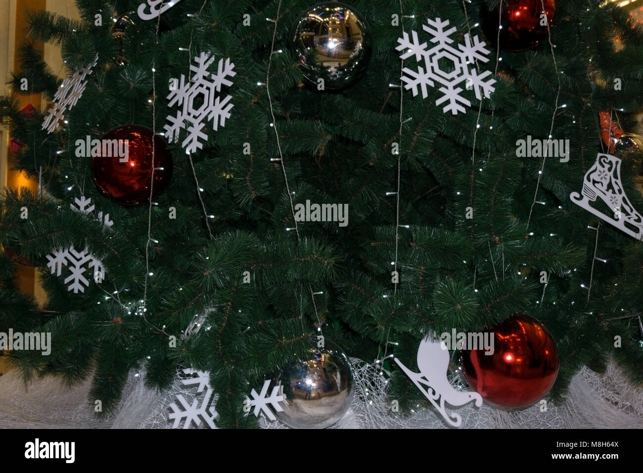 The Green Background Is Pine Tree The Christmas Tree Decor White