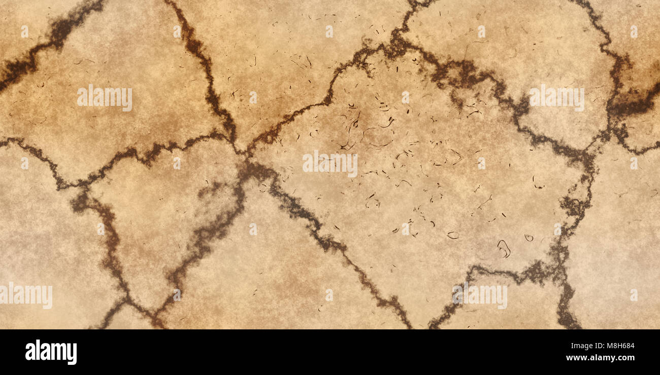 Skull Bone Backgrounds Anatomy Abstract Texture 3d Rendering 3d Illustration Stock Photo Alamy
