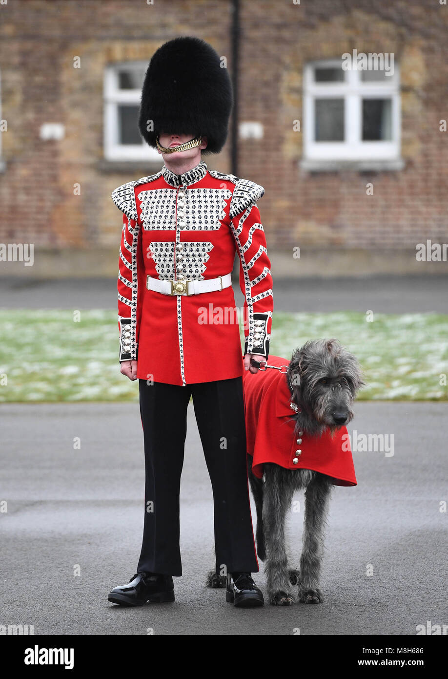 A guardsmen of 1st Battalion the Irish Guards with Irish Guards mascot ...