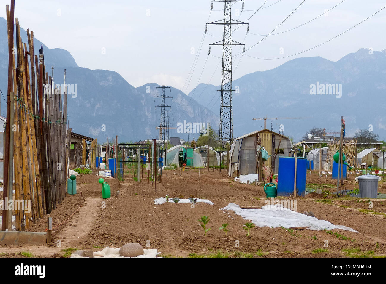 Group of Allotment plots where land is parcelled up for retirees to grow there own vegetables as a hobby - Trento, northern Italy, Europe Stock Photo