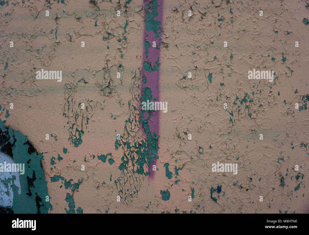 Biege and Gray Dirty Plaster Wall, With Falling Off Flakes Of Paint