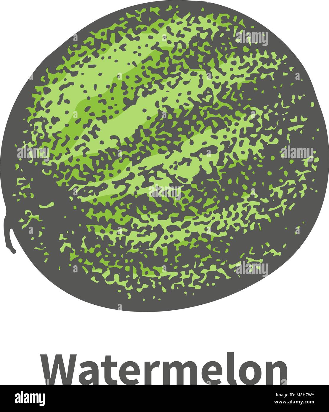 Vector single ripe juicy green watermelon Stock Vector Image & Art - Alamy
