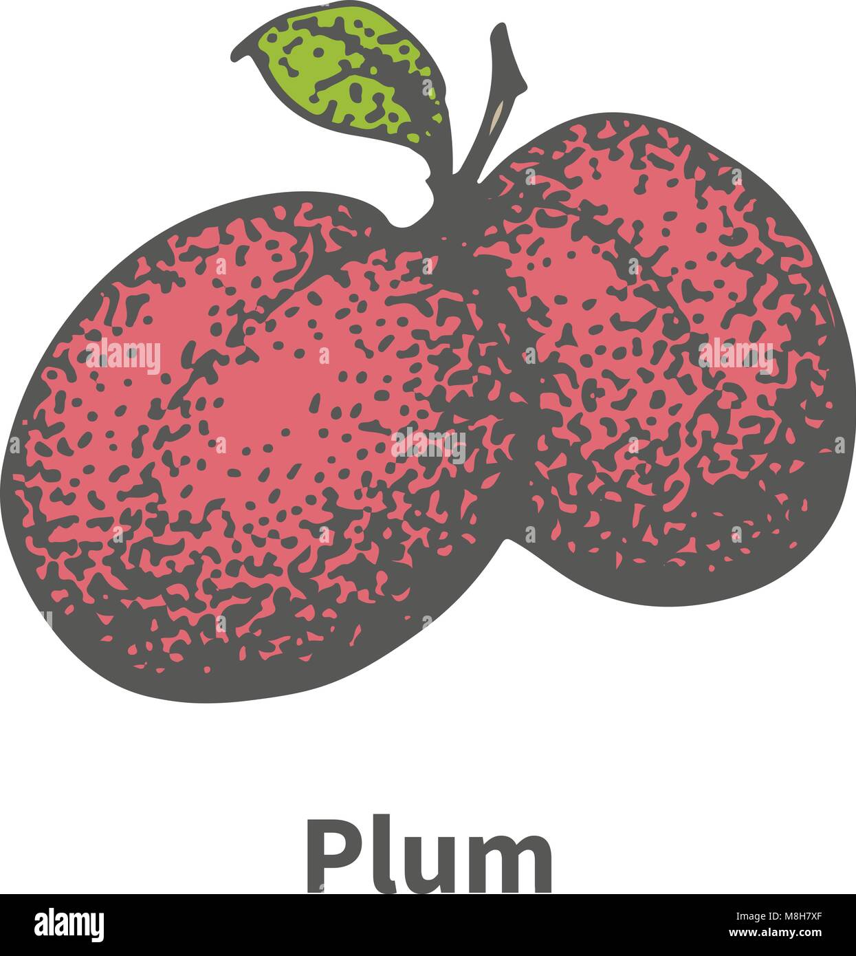 Plum drawing hires stock photography and images Alamy