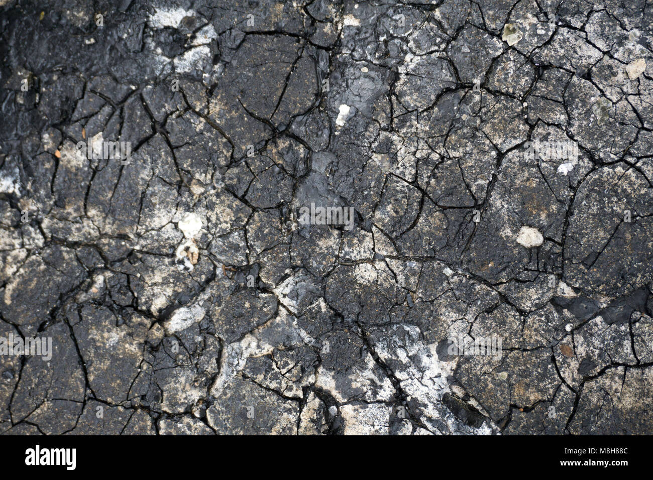 Texture, background, seamless pattern. This is useful for designers. Bitumen  resin crack from the heat of the solar wind. Solid or viscous organic com  Stock Photo - Alamy