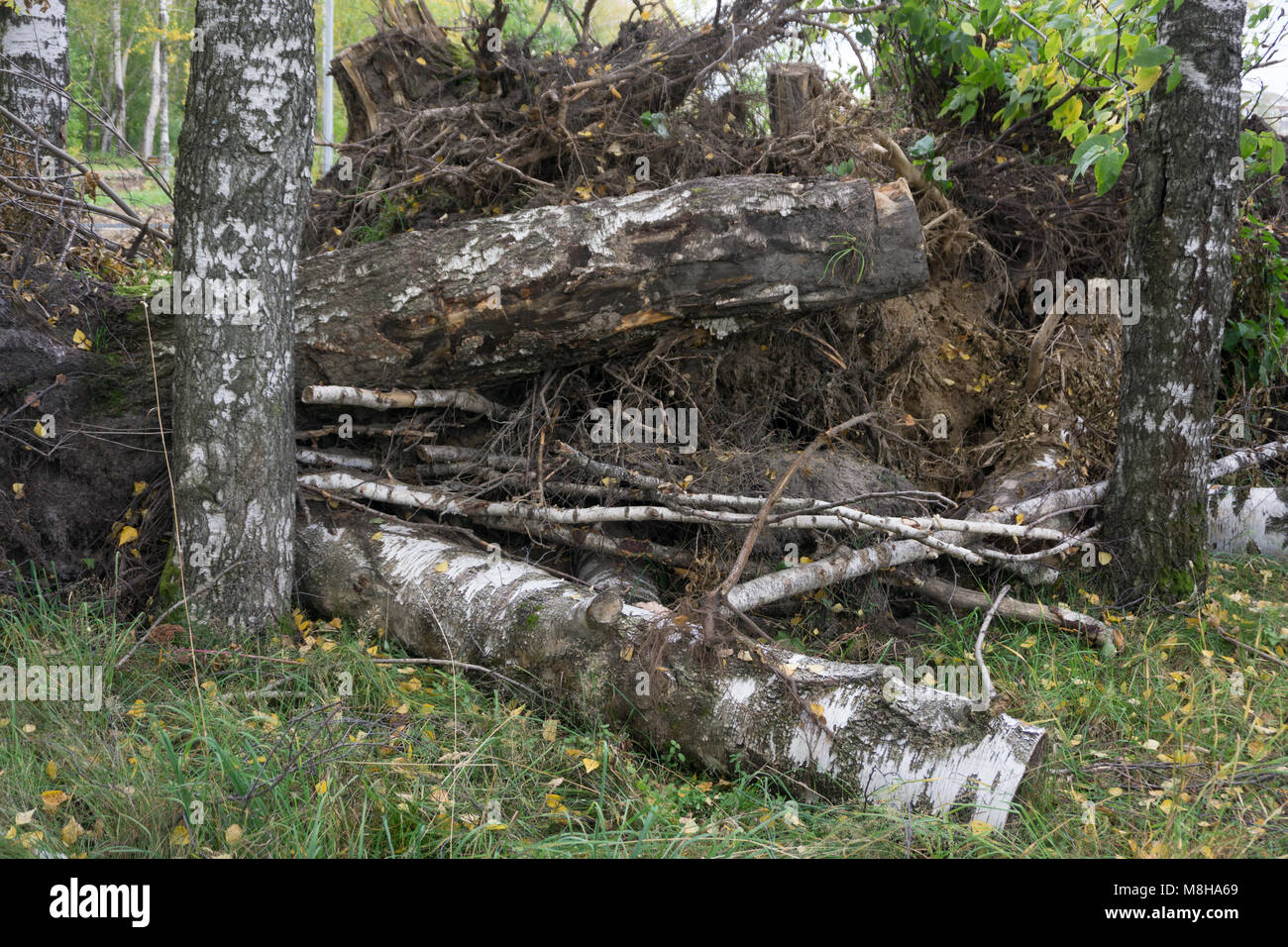 Large pile of rubbish, debris of a building, ruined house, can be used