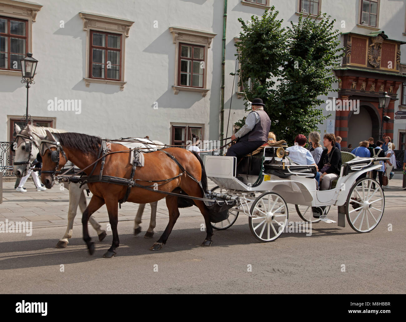 Vienna's famous two horse carriage the fiaker in the city centre Stock ...